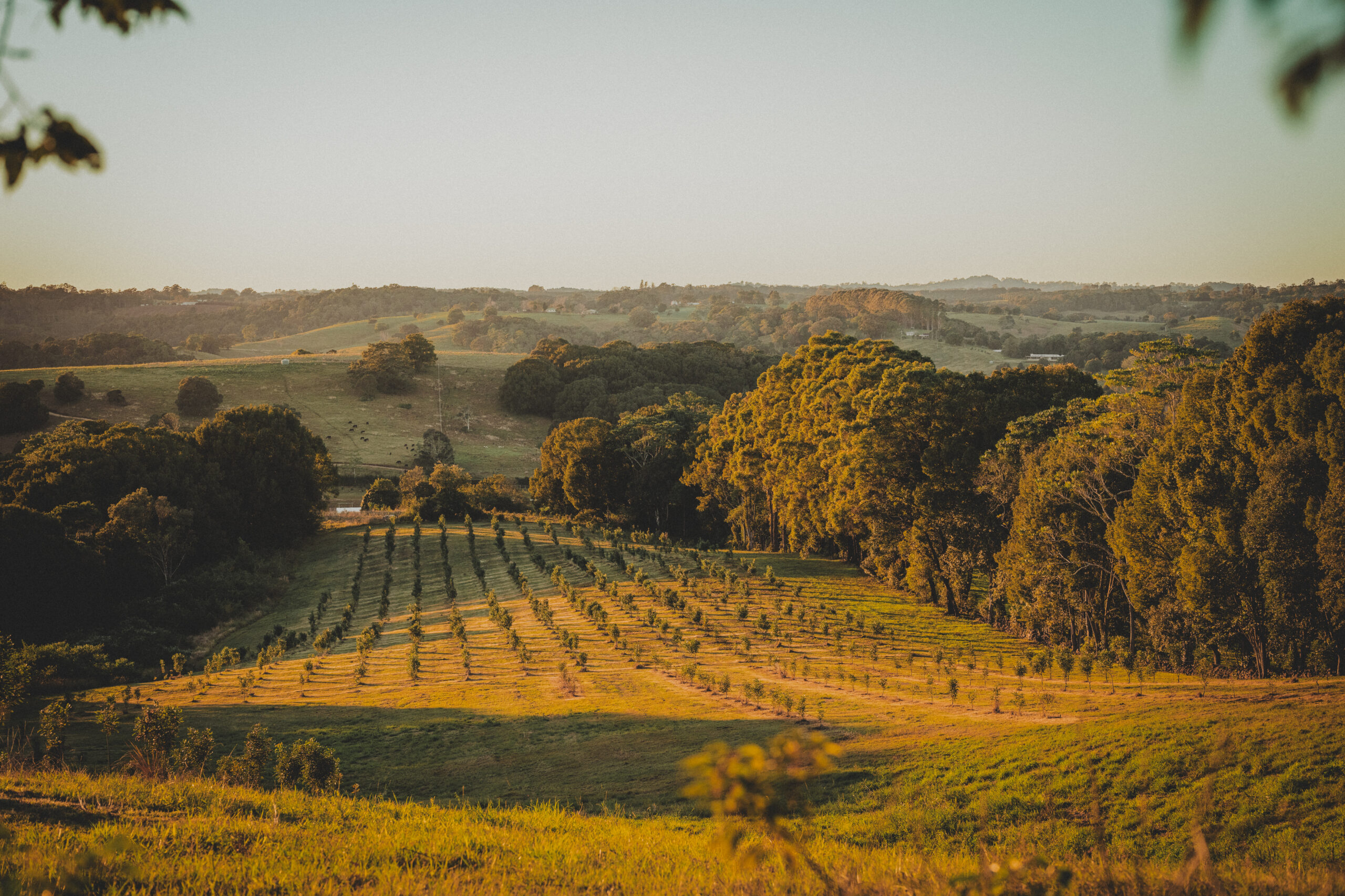 Country scenes around Lismore