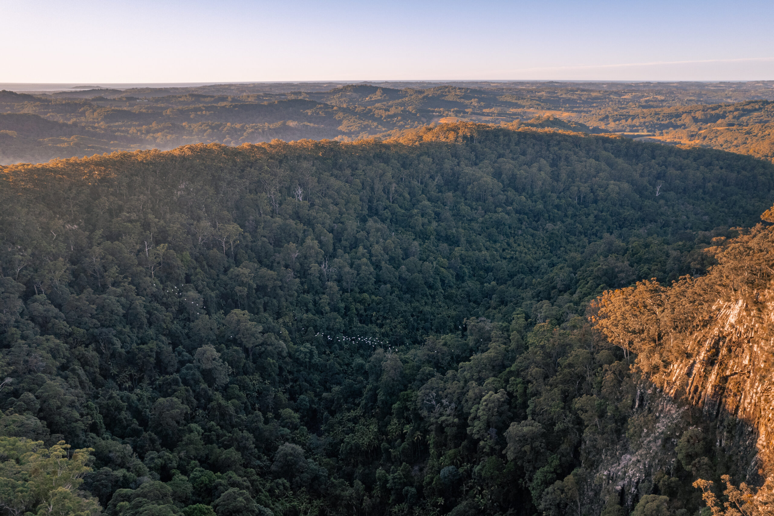 Beautiful views of Nightcap National Park