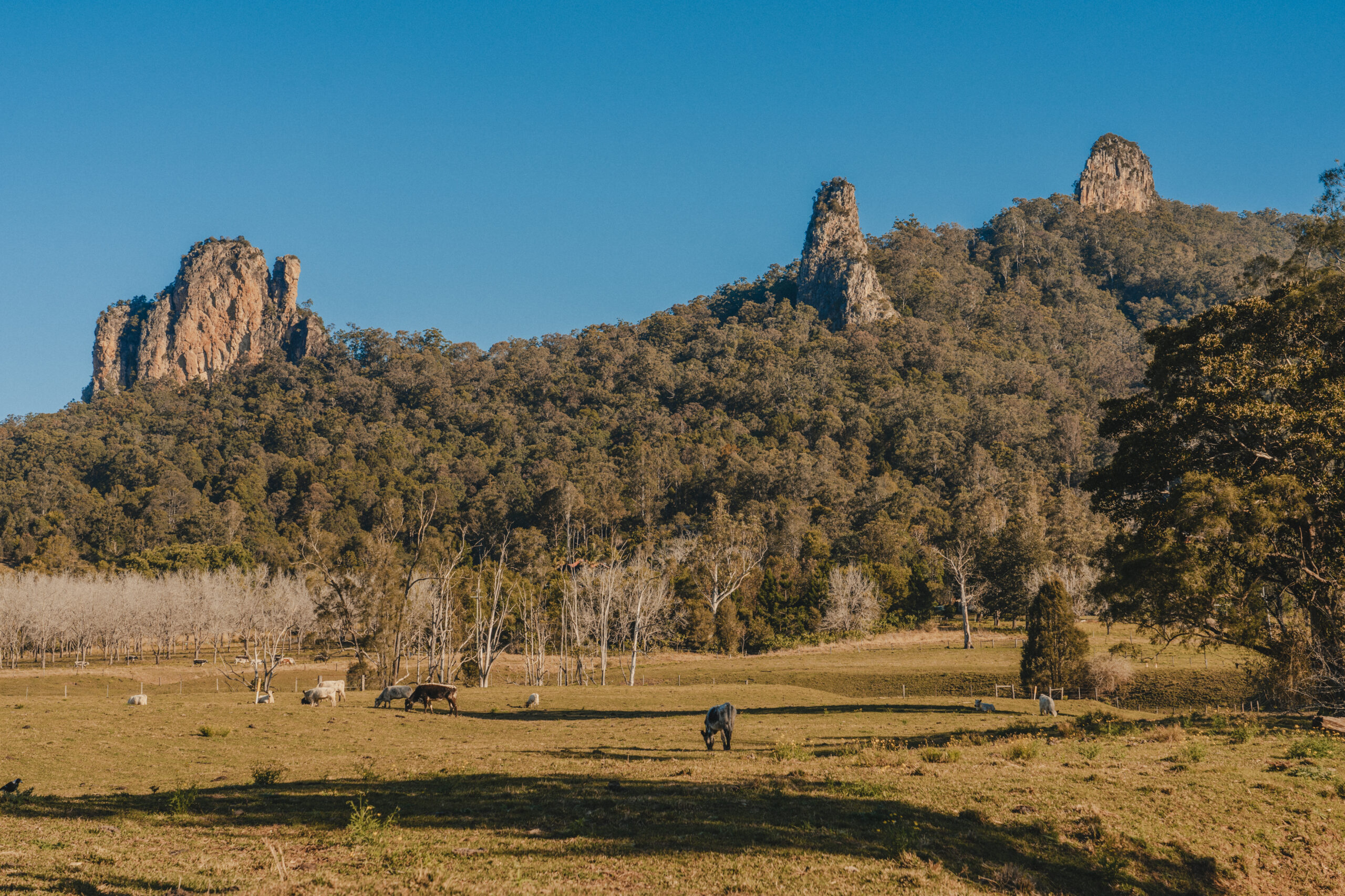 Nimbin Rocks