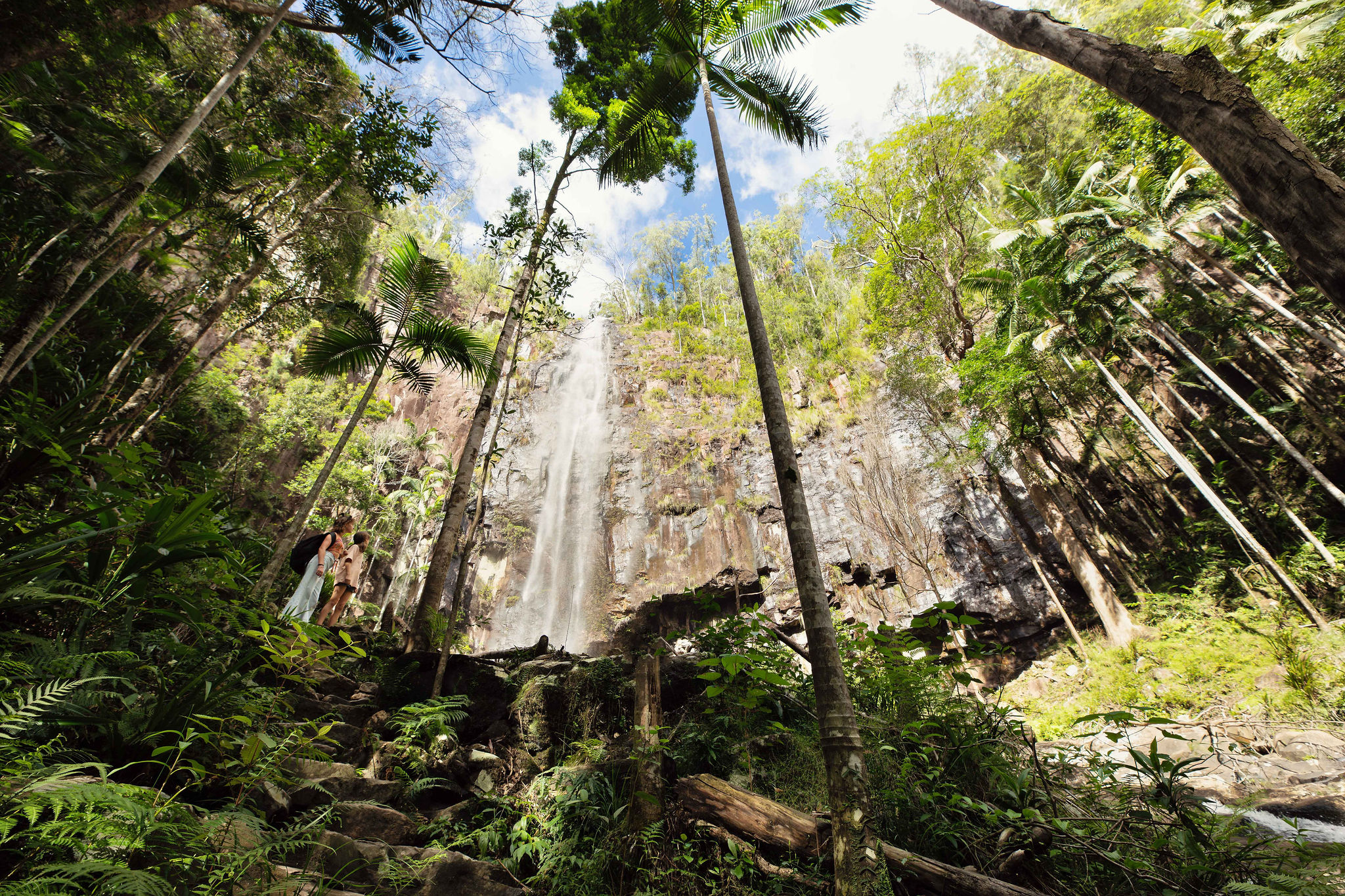 Protesters Falls, Nightcap National Park