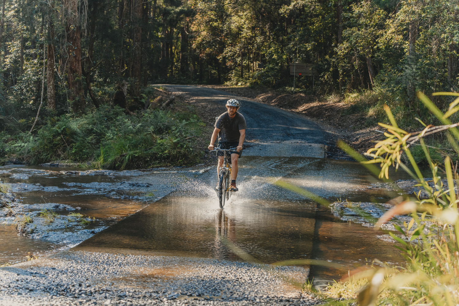 Mountain Biking in Nightcap National Park