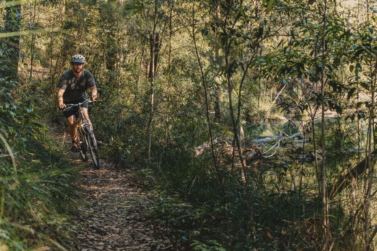 Man exploring Nightcap National Park by bike