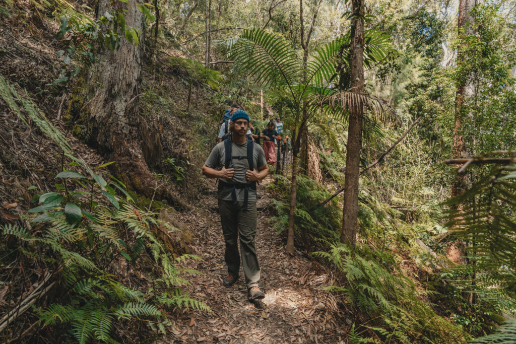 Bushwalking in Nightcap National Park