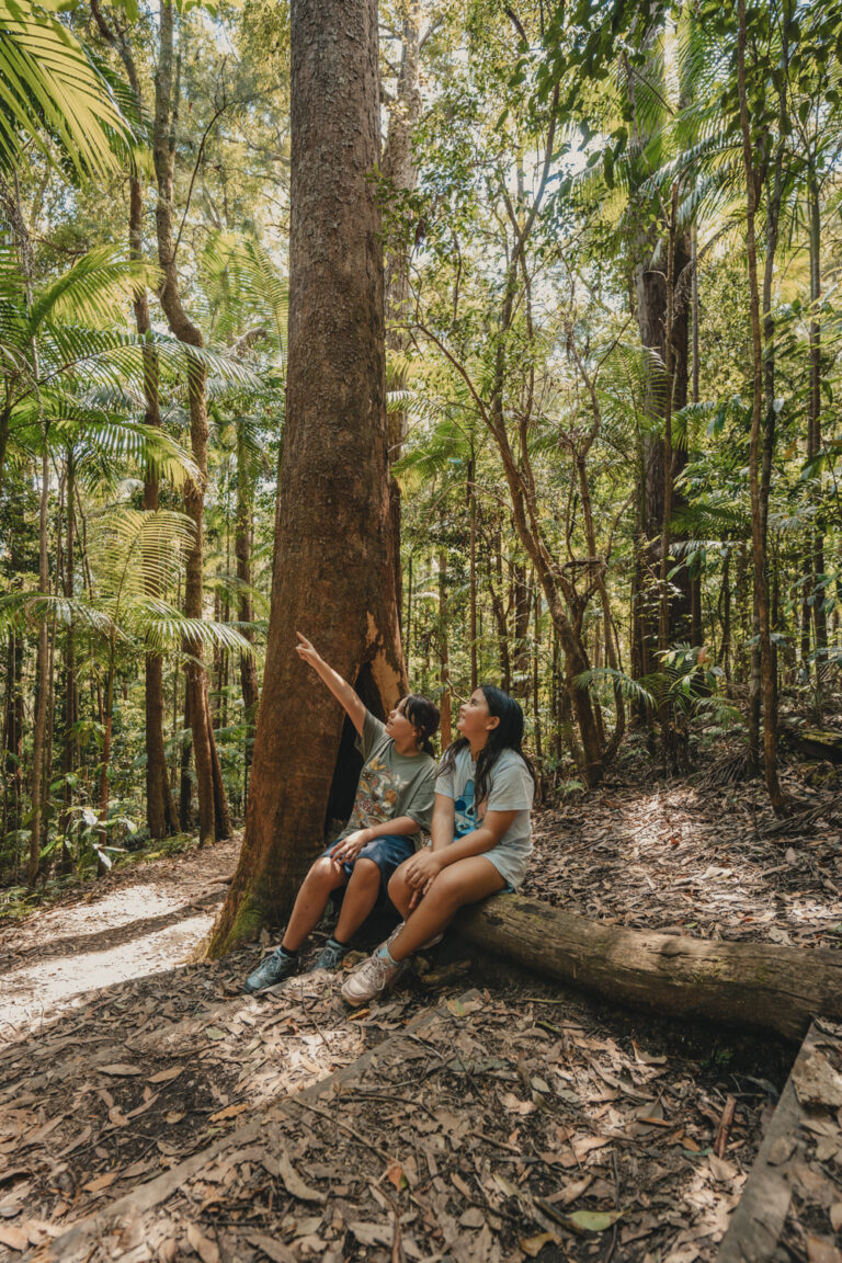 Young girls exploring Nightcap National Park