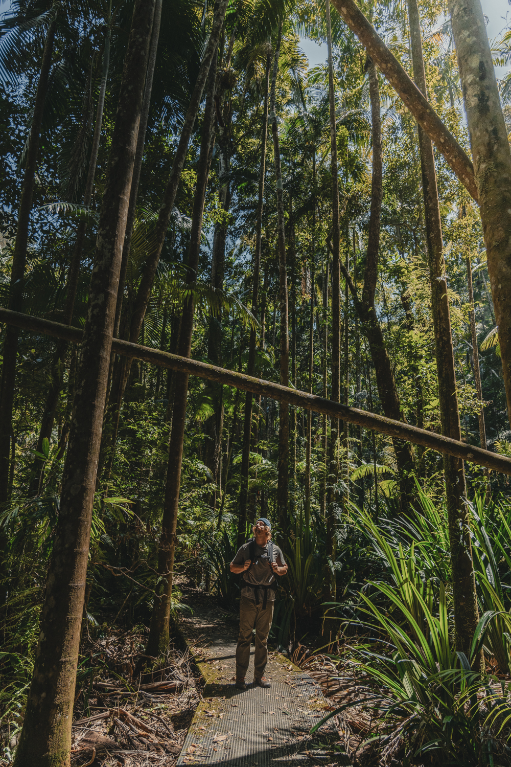 Man exploring Nightcap National Park