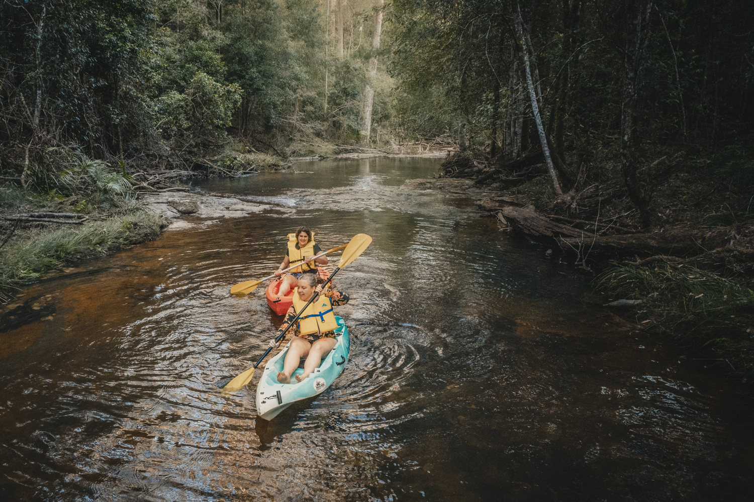 Kayaking in Nightcap National Park