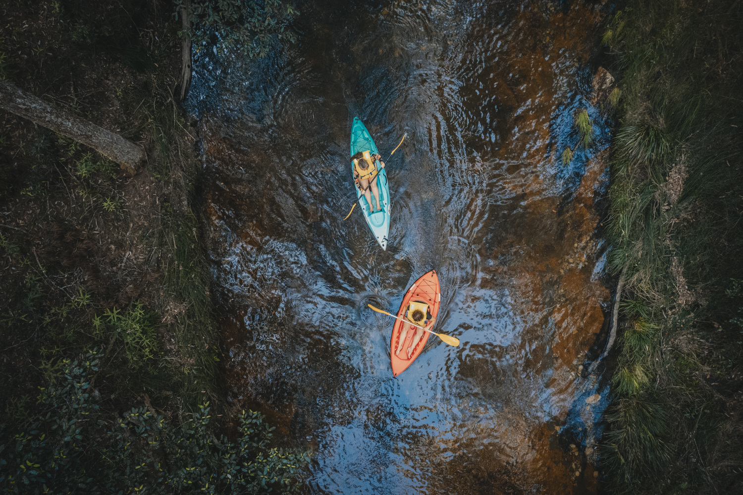 Aerial photo of kayaking in Nightcap National Park