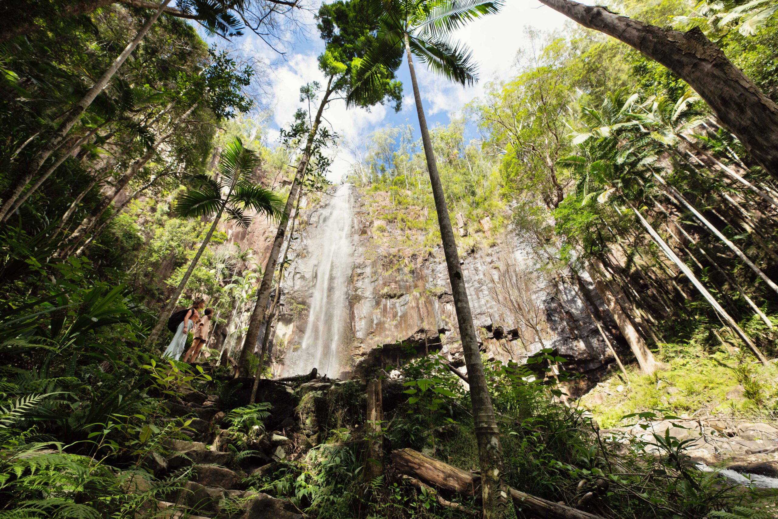 Protestors Falls