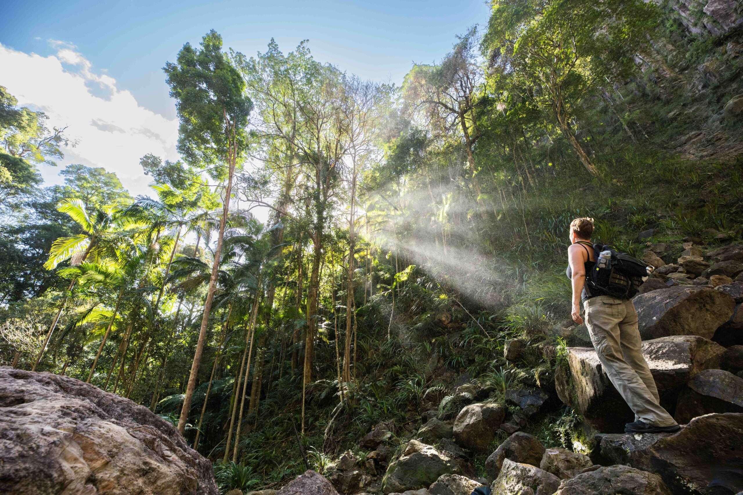 Exploring Nightcap National Park at Protesters Falls