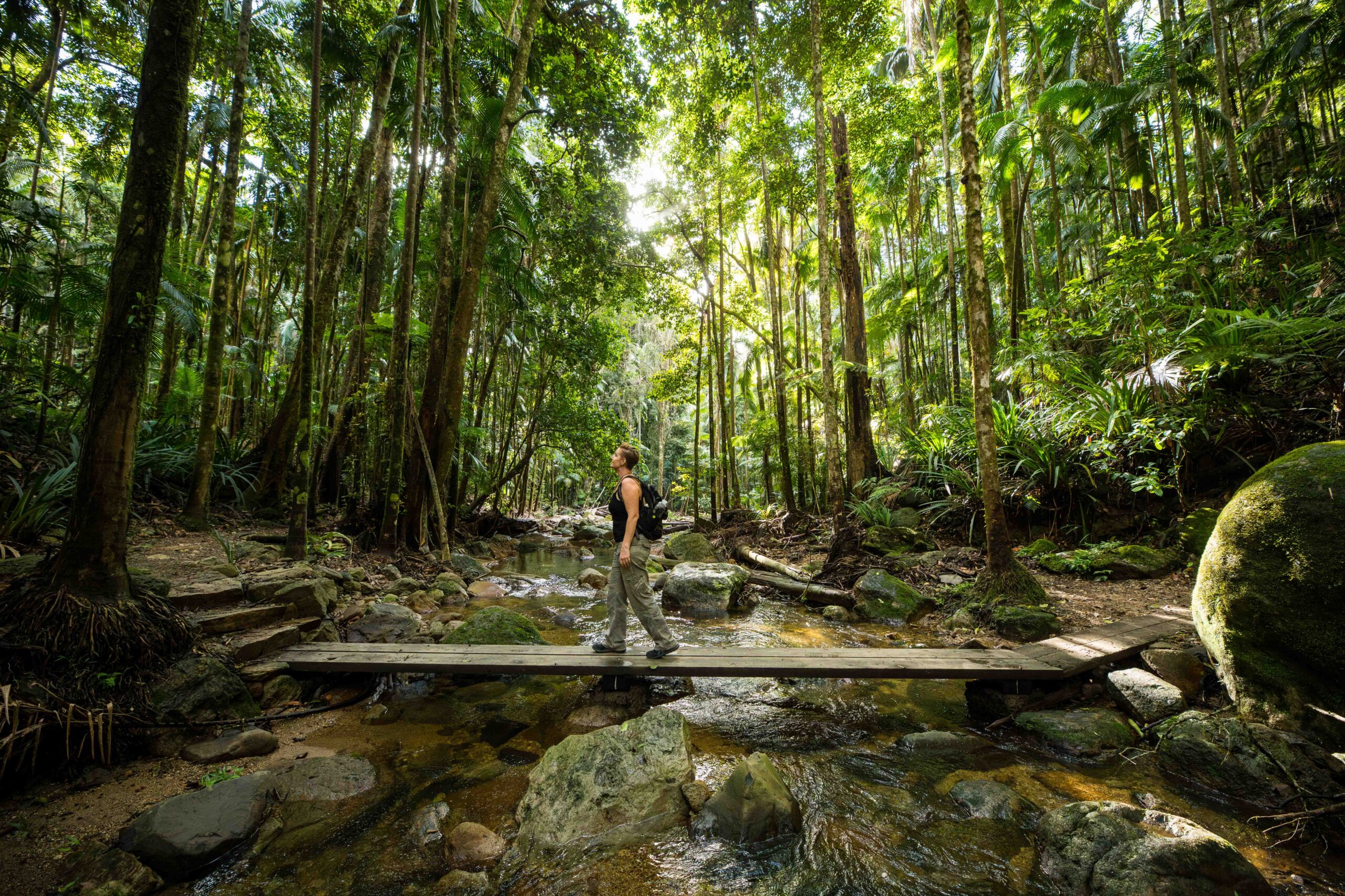 Woman exploring the stunning rainforest