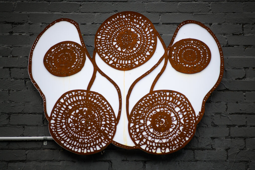 Bundjalung Jagun artwork by Tania Marlowe